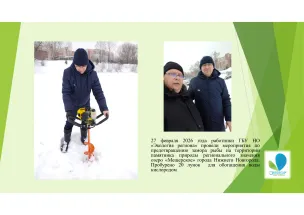 27 февраля 2026 г. работниками ГБУ НО "Экология региона" проведены мероприятия по предотвращению замора рыбы на территории памятника природы регионального значения озеро «Мещерское» г. Нижнего Новгорода